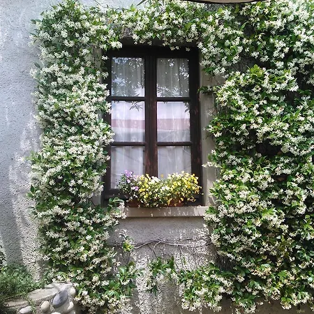 Feriegård Agriturismo Cassinazza