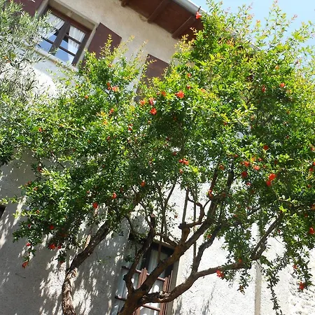 Agriturismo Cassinazza Feriegård Orsenigo