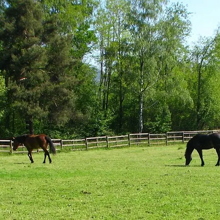 Agriturismo Cassinazza Feriegård